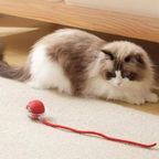 Crimson Interactive Cat Toy Ball | Self-Rolling, USB Rechargeable | 3 Modes + LED Glow