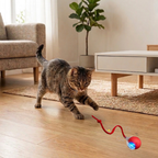 Crimson Interactive Cat Toy Ball | Self-Rolling, USB Rechargeable | 3 Modes + LED Glow