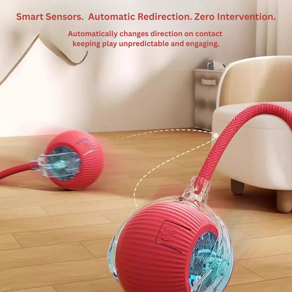 Crimson Interactive Cat Toy Ball | Self-Rolling, USB Rechargeable | 3 Modes + LED Glow